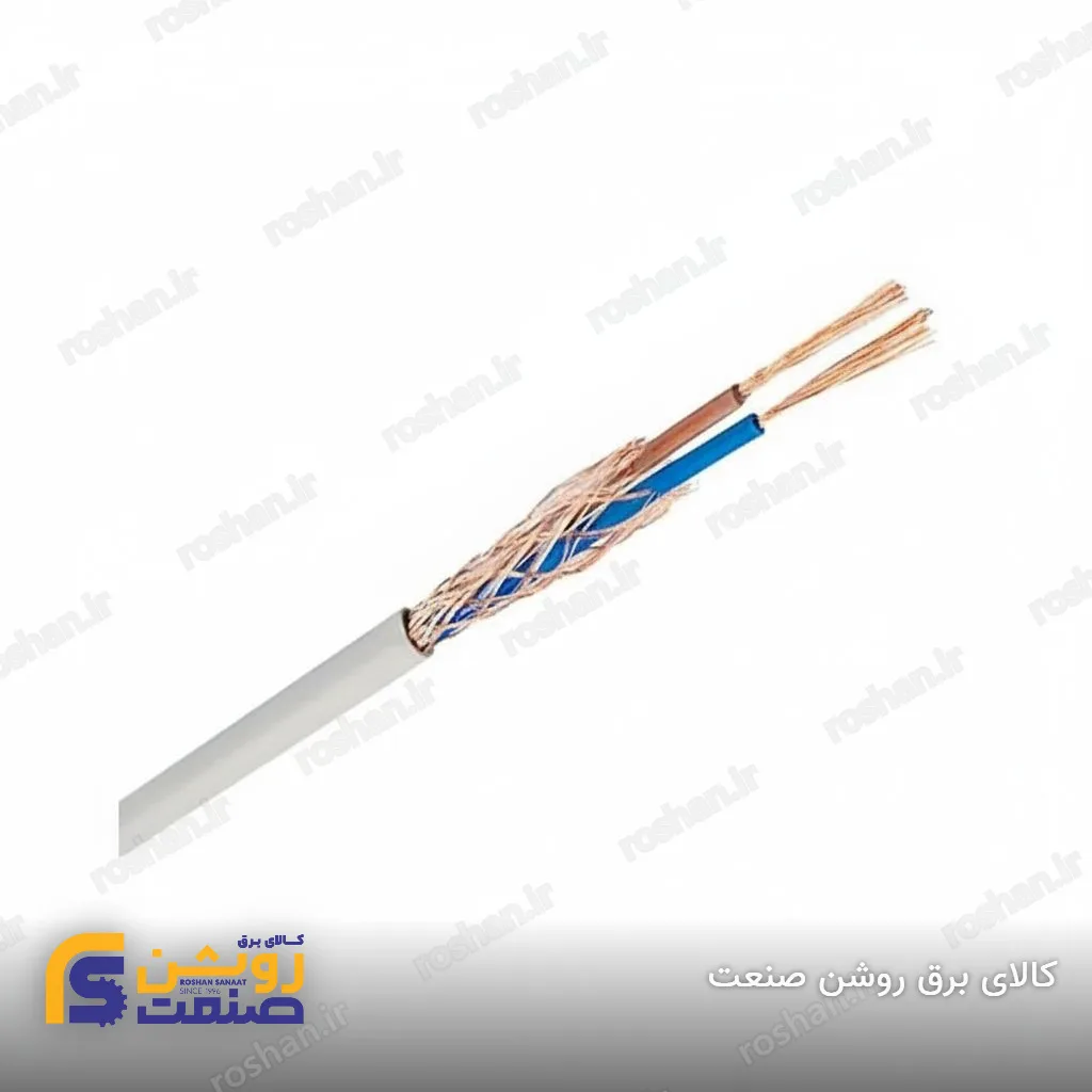 کابل شیلد 2×10 رسانا کابل