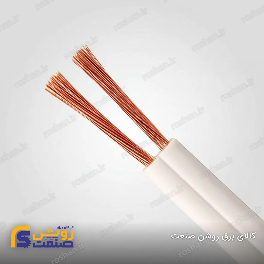 سیم بند تخت (نایلون) 2×0.5 لوشان