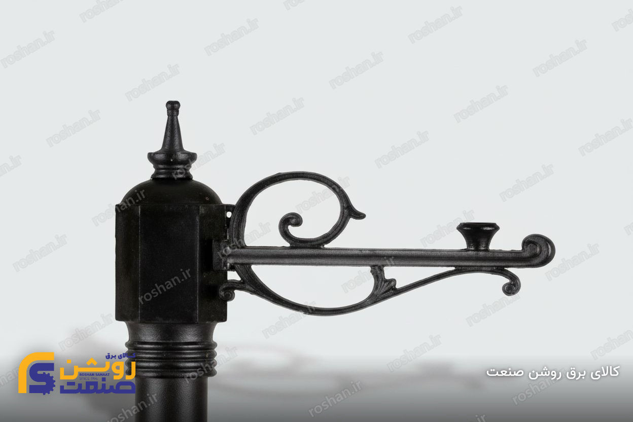 شفق تنه وسط تک شاخه رو به بالا دنا